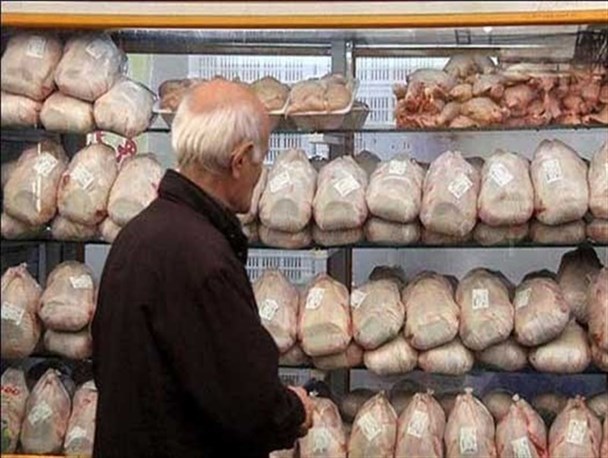 قیمت مرغ طی چند روز آینده کاهش می‌یابد