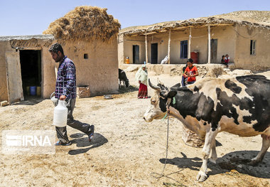 بهره‌مندی ۳۱ درصد جمعیت روستایی خراسان شمالی از مزایای بیمه اجتماعی