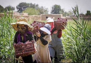 صندوق های اعتباری خرد مشارکت زنان روستایی را افزایش می دهد