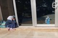 اشک دانش‌آموزان آذربایجانی از ممنوعیت حضور با حجاب در مدارس + عکس
