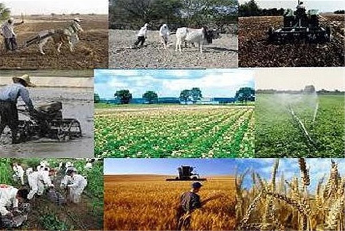 رونمایی از 100 اپلیکیشن کشاورزی