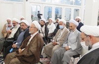 دیدارجمعی از علماء و روحانیت تهران و کرج با آیت الله فاضل لنکرانی (8)