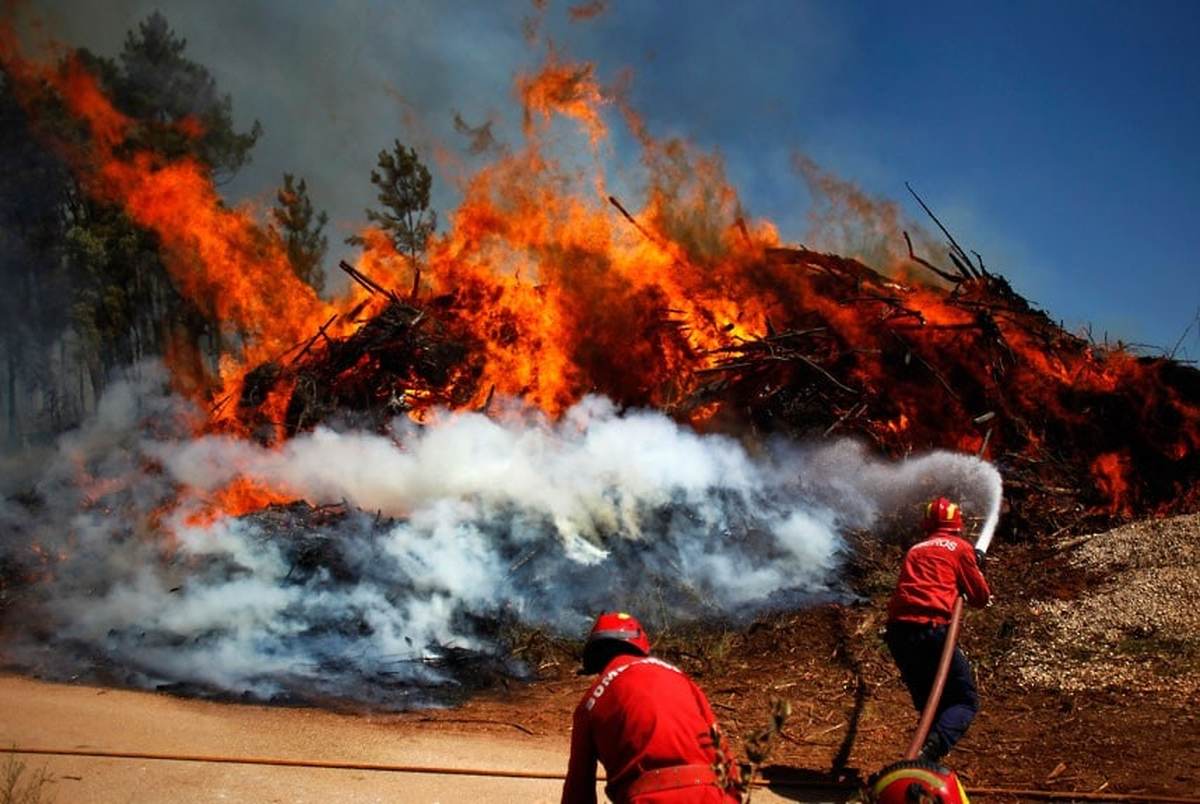 پیام همدردی کی روش با حادثه دیدگان آتش سوزی پرتغال