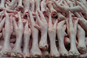 صادرات پای مرغ از لرستان به چین