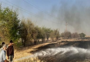 دلیل آتش‌سوزی تفرجگاه جاده سد کرخه چه بود؟