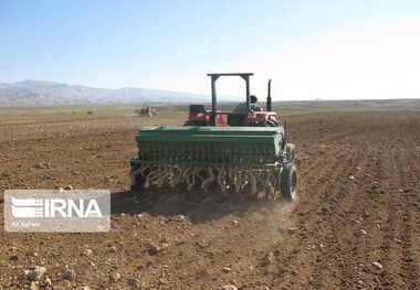 افزایش برداشت گندم در اصفهان مستلزم ادامه بارندگی‌ها و توزیع مطلوب آب است