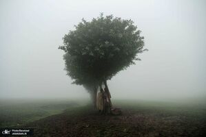 منتخب تصاویر امروز جهان- 23 تیر 1400
