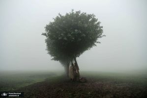 منتخب تصاویر امروز جهان- 23 تیر 1400