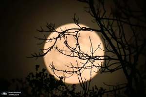 منتخب تصاویر امروز جهان- 7 اردیبهشت 1400