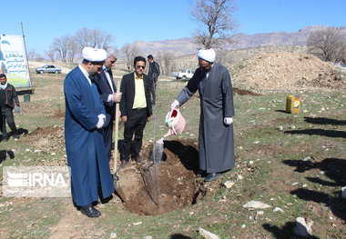 امام جمعه ایلام: درختکاری خسارت های گرد و غبار را کاهش می دهد