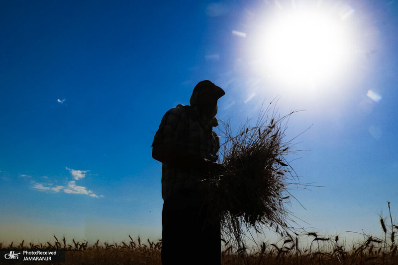 منتخب تصاویر امروز جهان- 21 تیر 1400