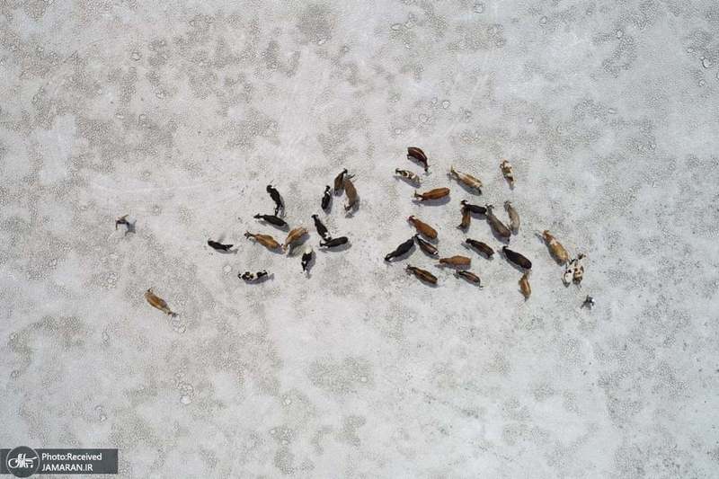 منتخب تصاویر امروز جهان- 18 خرداد 1400