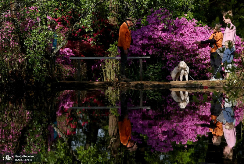 منتخب تصاویر امروز جهان - 9 اردیبهشت 1404