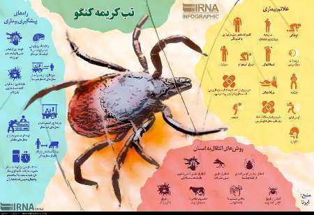 موردی از ابتلا به تب کریمه کنگو در فارس مشاهده نشده است