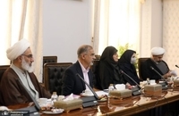 نشست هیئت پیگیری اجرای قانون اساسی (9)