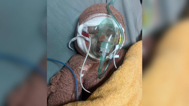 بمباران خانه نوزاد ایرانی توسط رژیم اسرائیل + عکس