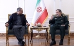 محسن رضایی در دیدار وزیر کشور پاکستان: ایران و پاکستان عقبه راهبردی یکدیگر هستند/ دولت، ارتش و ملت پاکستان را از سرمایه‌های بزرگ جهان اسلام می‌دانیم