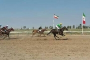 شرکت 77راس اسب در هفته سیزدهم  و قهرمانی  کورس تابستانه بندرترکمن
