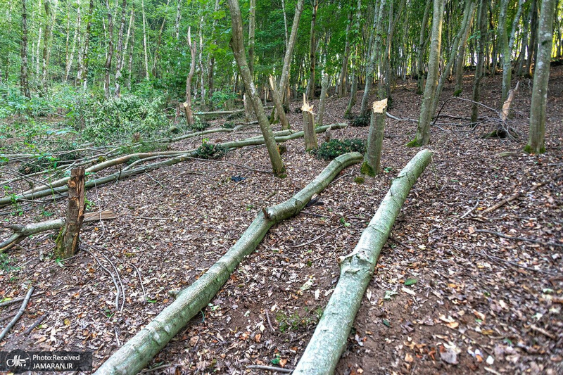 منتخب تصاویر امروز جهان- 19 تیر 1400