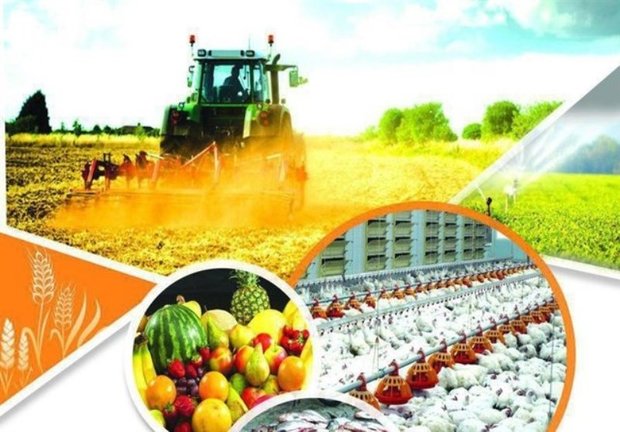 تسهیلات بانک کشاورزی خراسان جنوبی 63 درصد افزایش یافت