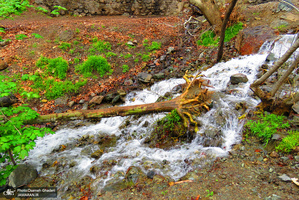 مسیر کوهنوردی کلکچال