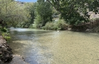 رودخانه لیطانی / لیتانی