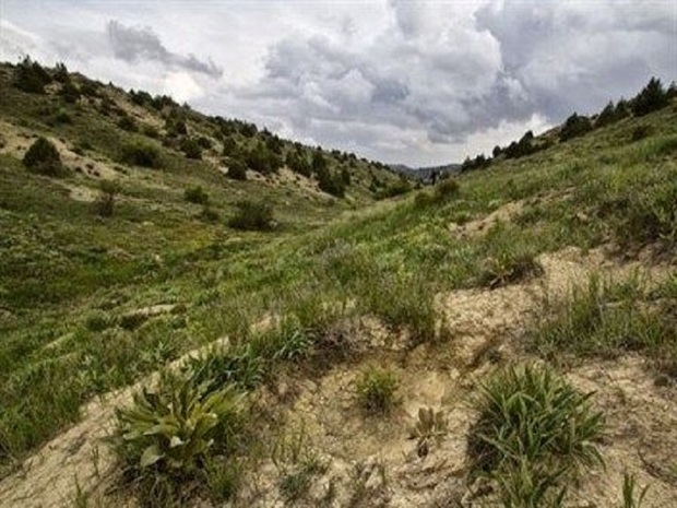 منابع طبیعی رفسنجان سه طرح اقتصاد مقاومتی در حال دارد