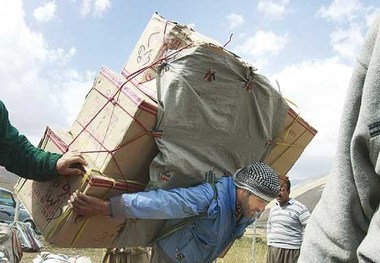 سرما جان کولبری را در ارتفاعات مریوان گرفت