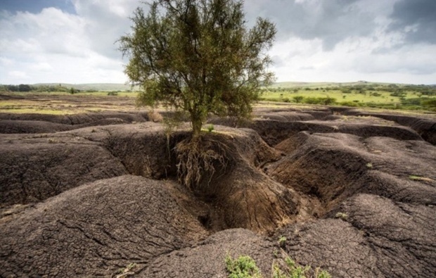 سالانه 400 هزار هکتار اراضی کشور با فرسایش خاک نابود می شود