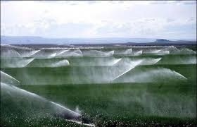 اجرای طرح کشت محصولات کشاورزی بر اساس مقدار آب قابل دسترس در خدابنده