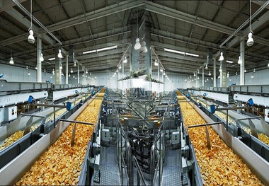 شرکت آلمانی 2000 میلیارد ریال در مهاباد سرمایه گذاری می کند