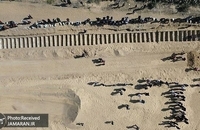 ۵۴ شهید مجهول الهویه امروز در غزه به خاک فلسطین سپرده شدند  (2)