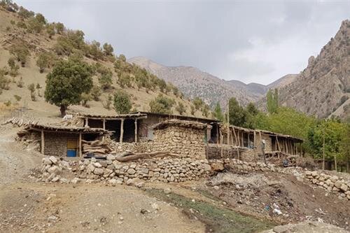 اقدام جهادی کمیته امداد در ۱۵۶ روستای لرستان