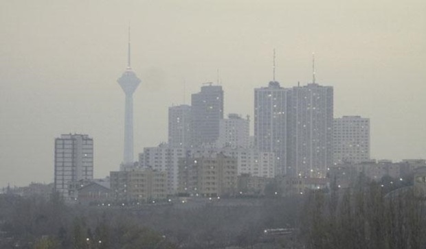 تهران  بودار