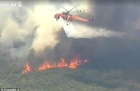 آتش سوزی جنگل های سیدنی