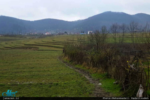 روستای امام زمین تنکابن 