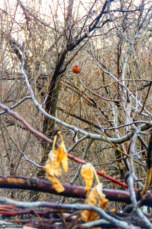 روستای تاریخی خانقاه پاوه؛ یادگار دوره ساسانی