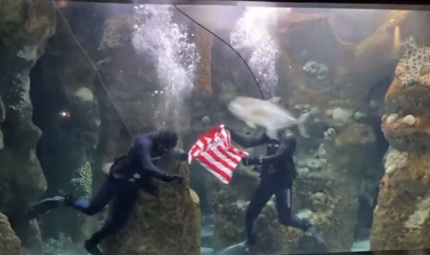 عکس| رونمایی از پیراهن در آکواریوم!