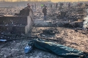 ۱۵۰ پیکر به خانواده جانباختگان سقوط هواپیمای اوکراین تحویل داده شد