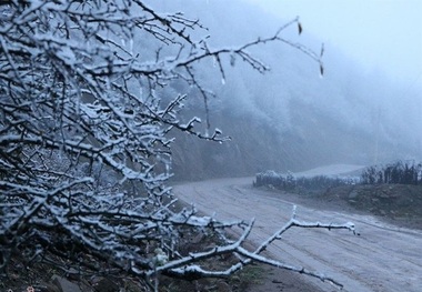 دمای سی سخت به صفر درجه رسید