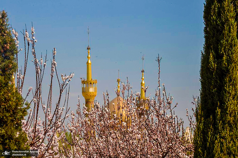 حال و هوای بهاری در حرم مطهر امام خمینی (س)