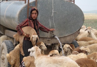 کم آبی ، خشکسالی و علوفه مهمترین مشکلات عشایر سمنان