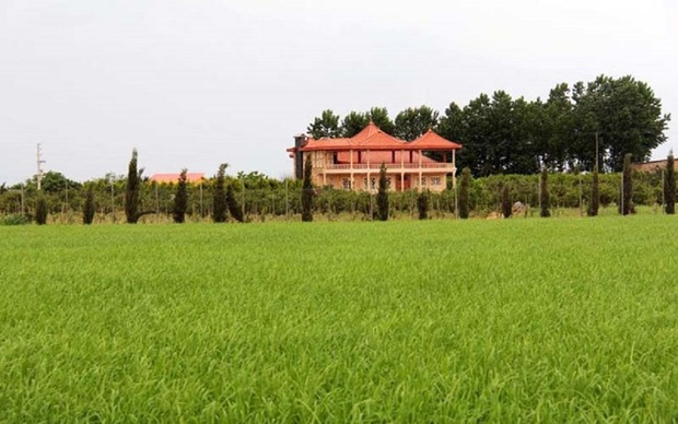 هشدار به خریداران ویلا در شمال/ این زمین ها را نخرید