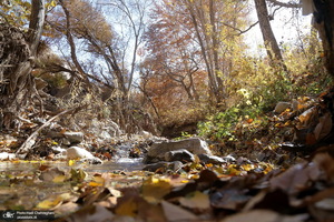 طبیعت پاییزی روستای اَوِل قم