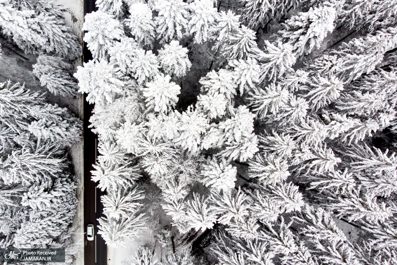 منتخب تصاویر امروز جهان- 16 آذر