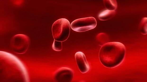 چرا دچار کم خونی می‌شویم؟
