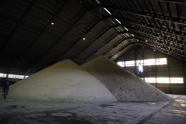 پانزدهمین دوره تولید شکر در کشت و صنعت سلمان فارسی شروع شد