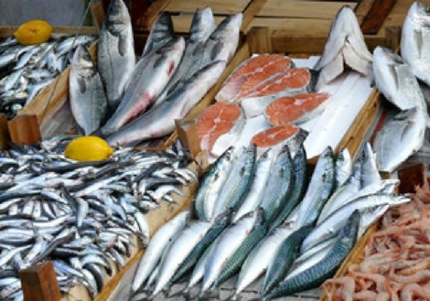 سالانه یک میلیون و 200 هزارتن ماهی در کشور تولید می شود