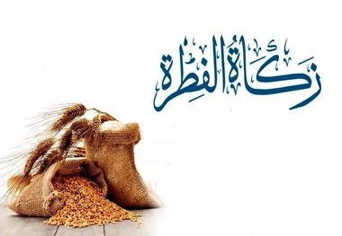 قوت غالب در فطریه یعنی چه؟