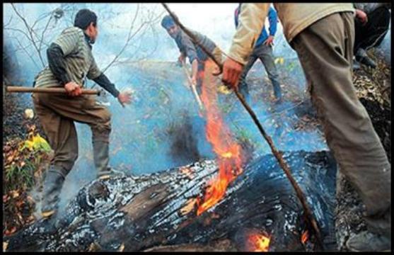 گفت و گو با مرد "سوخته" که محیط‌بان نبود!